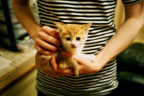 leyu.com-体育新闻中心不败纪录盘点，体育新闻 体坛快讯