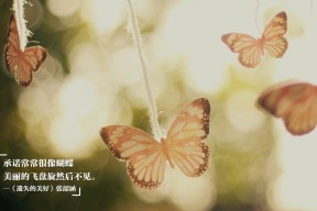 乐鱼电竞在线平台登录入口-尼克斯主帅更换首发寻找化学反应，尼克斯材料