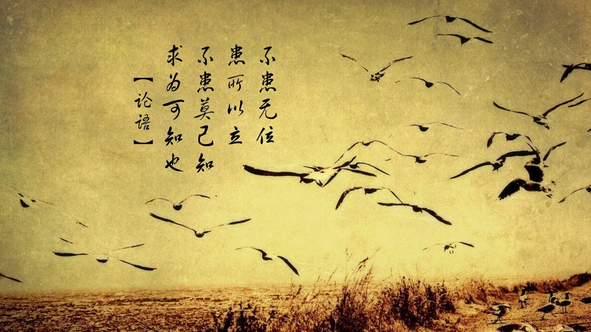 女子滑板运动比赛掀起热潮,女子滑板世界冠军