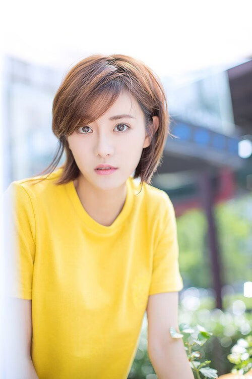 欧洲杯决赛高光时刻:战术与激情的巅峰对决,欧洲杯¼决赛